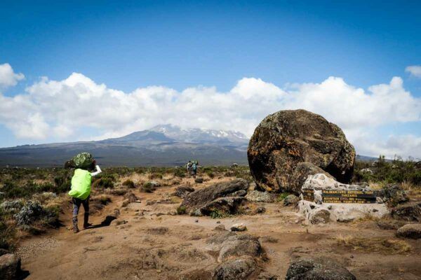 Kilimanjaro Lemosho Route 8 Day Complete Guide With Photos